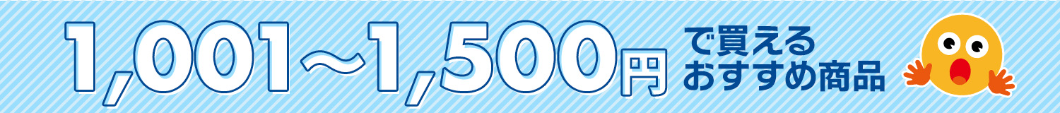 1001`1500~Ŕ邨ߏi
